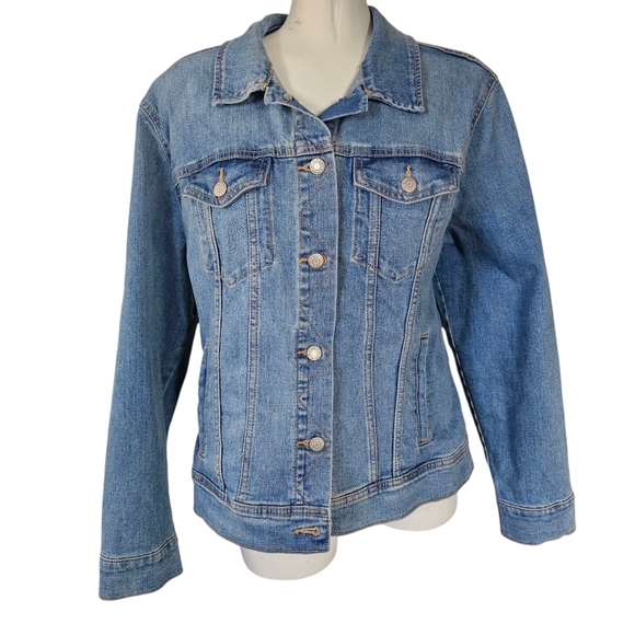 Hand Painted Steampunk Terrier Dog On A Denim Jean Jacket - Picture 3 of 5